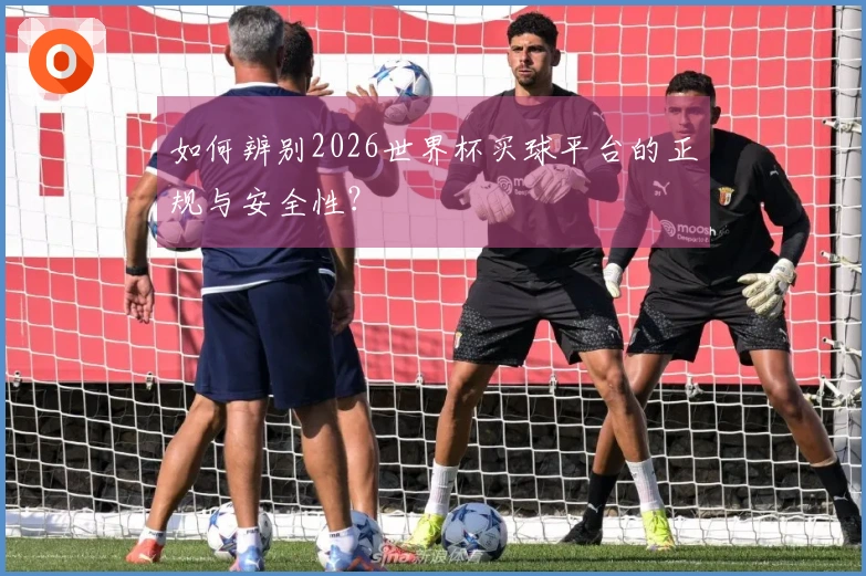 如何辨别2026世界杯买球平台的正规与安全性？