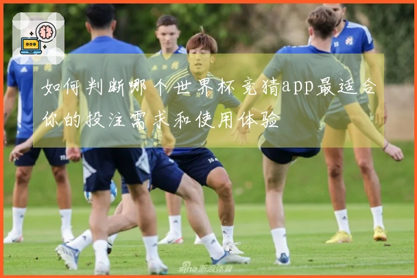 如何判断哪个世界杯竞猜app最适合你的投注需求和使用体验