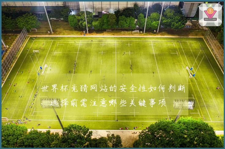 世界杯竞猜网站的安全性如何判断，选择前需注意哪些关键事项