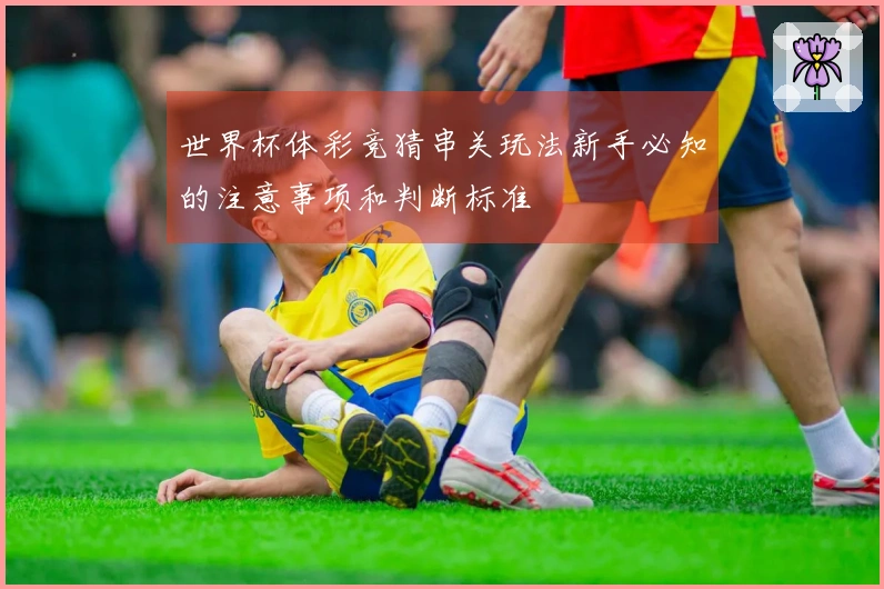 世界杯体彩竞猜串关玩法新手必知的注意事项和判断标准