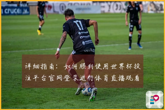 详细指南：如何顺利使用世界杯投注平台官网登录进行体育直播观看