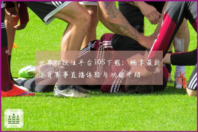 世界杯投注平台iOS下载：畅享最新体育赛事直播体验与功能介绍