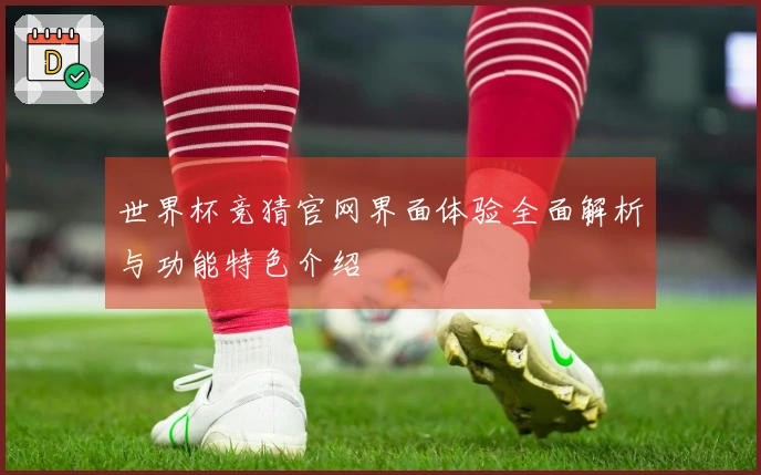 世界杯竞猜官网界面体验全面解析与功能特色介绍