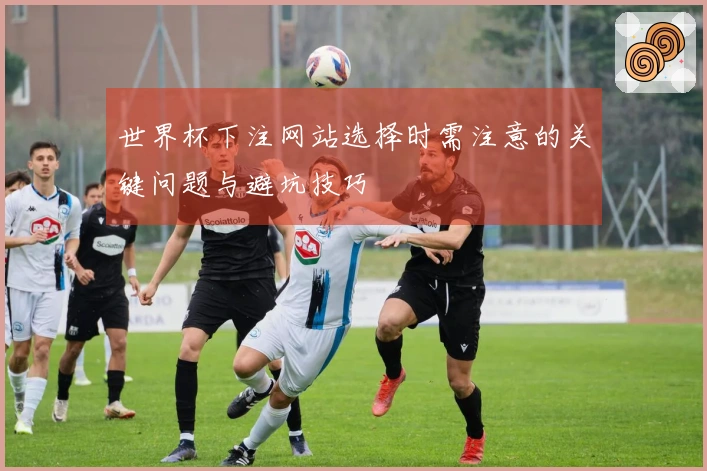世界杯下注网站选择时需注意的关键问题与避坑技巧