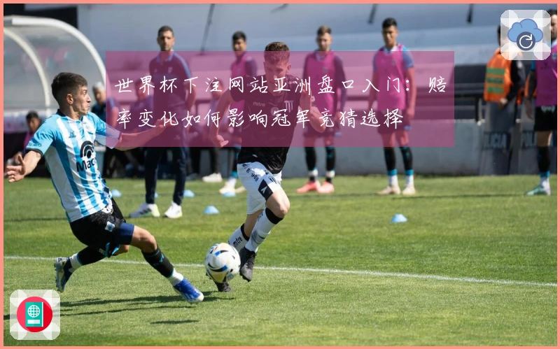 世界杯下注网站亚洲盘口入门：赔率变化如何影响冠军竞猜选择