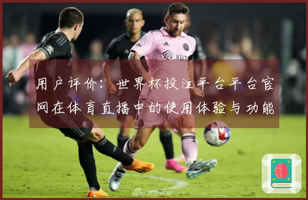 用户评价：世界杯投注平台平台官网在体育直播中的使用体验与功能分析