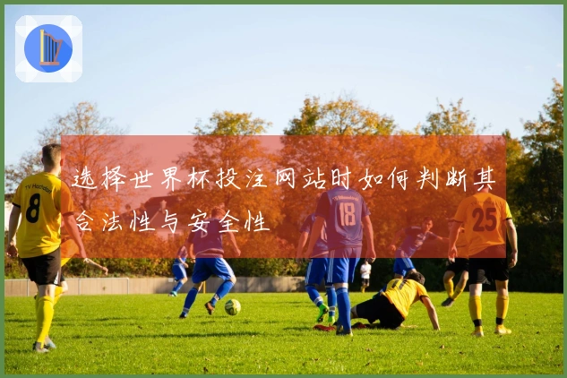 选择世界杯投注网站时如何判断其合法性与安全性