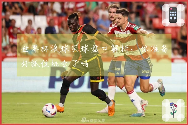 世界杯滚球买球盘口解析，你准备好抓住机会了吗