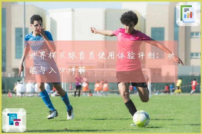 世界杯买球首页使用体验评测：功能与入口详解