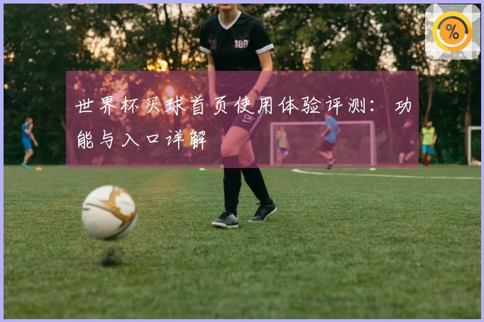 世界杯买球首页使用体验评测：功能与入口详解