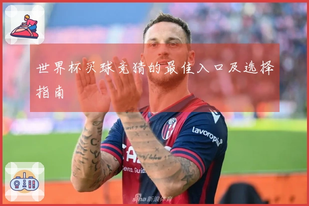 世界杯买球竞猜的最佳入口及选择指南