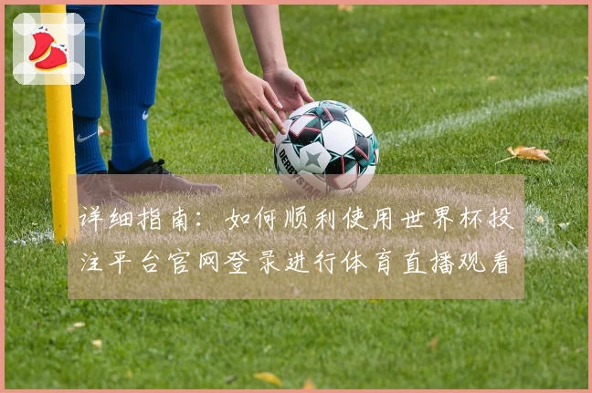 详细指南：如何顺利使用世界杯投注平台官网登录进行体育直播观看