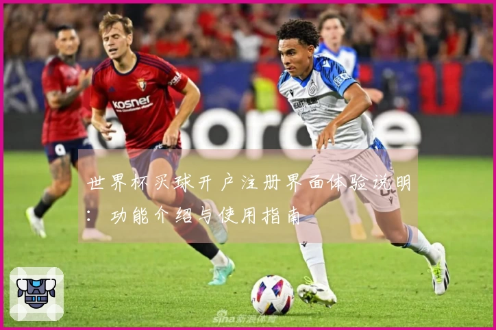世界杯买球开户注册界面体验说明：功能介绍与使用指南