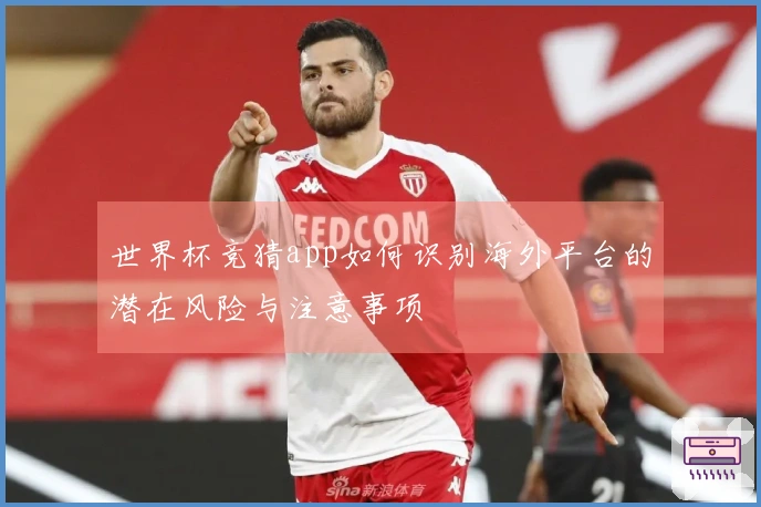 世界杯竞猜app如何识别海外平台的潜在风险与注意事项