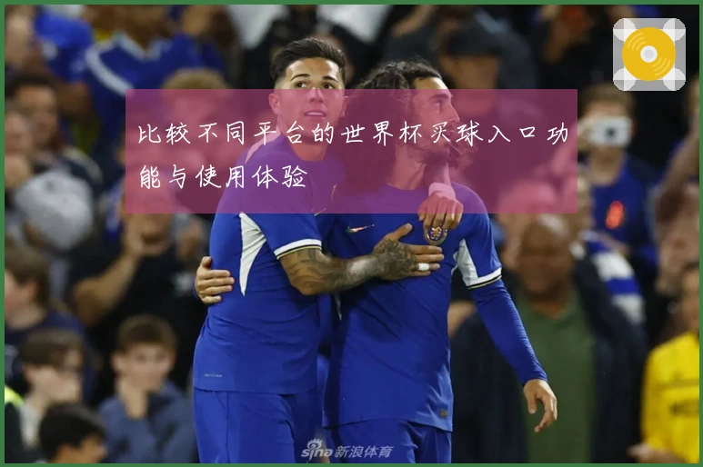 比较不同平台的世界杯买球入口功能与使用体验